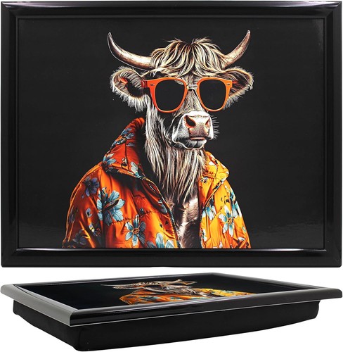 Laptop lap tray - laptop, cushioned